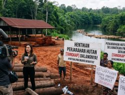 Dugaan Pembalakan Liar dan Sinyal Pembiaran, Masyarakat Desak Penegakan Hukum