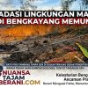 Alami Degradasi Lingkungan, Aktivitas Tambang Tanpa Izin di Dusun Tanjung Desak Penertiban Tambal Sulam