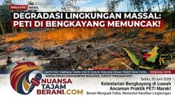 Alami Degradasi Lingkungan, Aktivitas Tambang Tanpa Izin di Dusun Tanjung Desak Penertiban Tambal Sulam