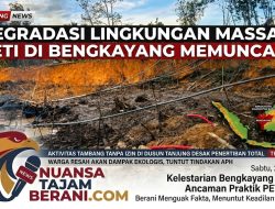 Alami Degradasi Lingkungan, Aktivitas Tambang Tanpa Izin di Dusun Tanjung Desak Penertiban Tambal Sulam