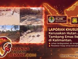 Aktivitas PETI di Kecamatan Ledo Kian Menggila, Warga Desak Aparat Akhiri Dugaan Pembiaran