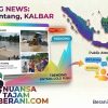 Aktivitas PETI di Jantung Kota Sintang Terkesan Dibiarkan, Warga Tagih Ketegasan Aparat