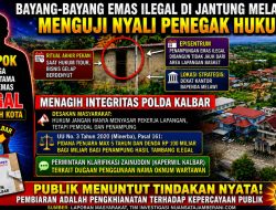 Bayang-Bayang Emas Ilegal di Jantung Melawi: Menguji Nyali Penegak Hukum