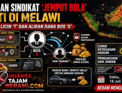 Dugaan Sindikat ‘Jemput Bola’ PETI di Melawi: Jejak Licin T dan Aliran Dana Bos S 
