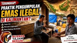 Dugaan Praktik Penampungan Emas Ilegal di Sandai Marak, Nama Sejumlah Cukong Mencuat ke Publik