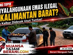 Tabir Logam Mulia, Dipasar Gelap “PETI Sekadau” Siapa Kebal Hukum?