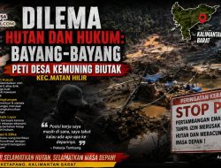 Dilema Hutan dan Hukum: Bayang-Bayang PETI Desa Kemuning Biutak,Kec Matan Hilir.