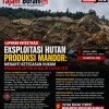Eksploitasi Hutan Produksi Mandor: Menanti Ketegasan Hukum Bongkar Aktor di Balik Layar dan Dugaan Pembiaran Aparat