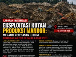 Eksploitasi Hutan Produksi Mandor: Menanti Ketegasan Hukum Bongkar Aktor di Balik Layar dan Dugaan Pembiaran Aparat