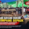 Bayang-Bayang Hukum di Simpang Sepauk: Perjudian Sabung Ayam Marak Tanpa Sentuhan Penertiban