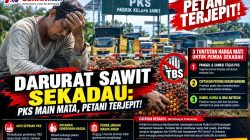 Darurat Sawit Sekadau: Perlu Perhatian Pemerintah Daerah PKS Dugaan Main Mata, Petani Terjepit!  ​