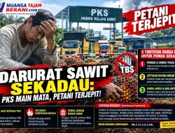 Darurat Sawit Sekadau: Perlu Perhatian Pemerintah Daerah PKS Dugaan Main Mata, Petani Terjepit!  ​