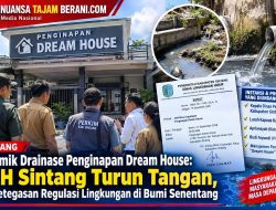 Polemik Drainase Penginapan Dream House: DLH Sintang Turun Tangan, Uji Ketegasan Regulasi Lingkungan di Bumi Senentang 
