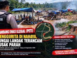 Dugaan Dibeking Oknum Tertentu Tambang Emas Illegal (PETI) Menggurita di Dusun Nahaya,Sungai Kab, Landak Terancam Rusak Parah